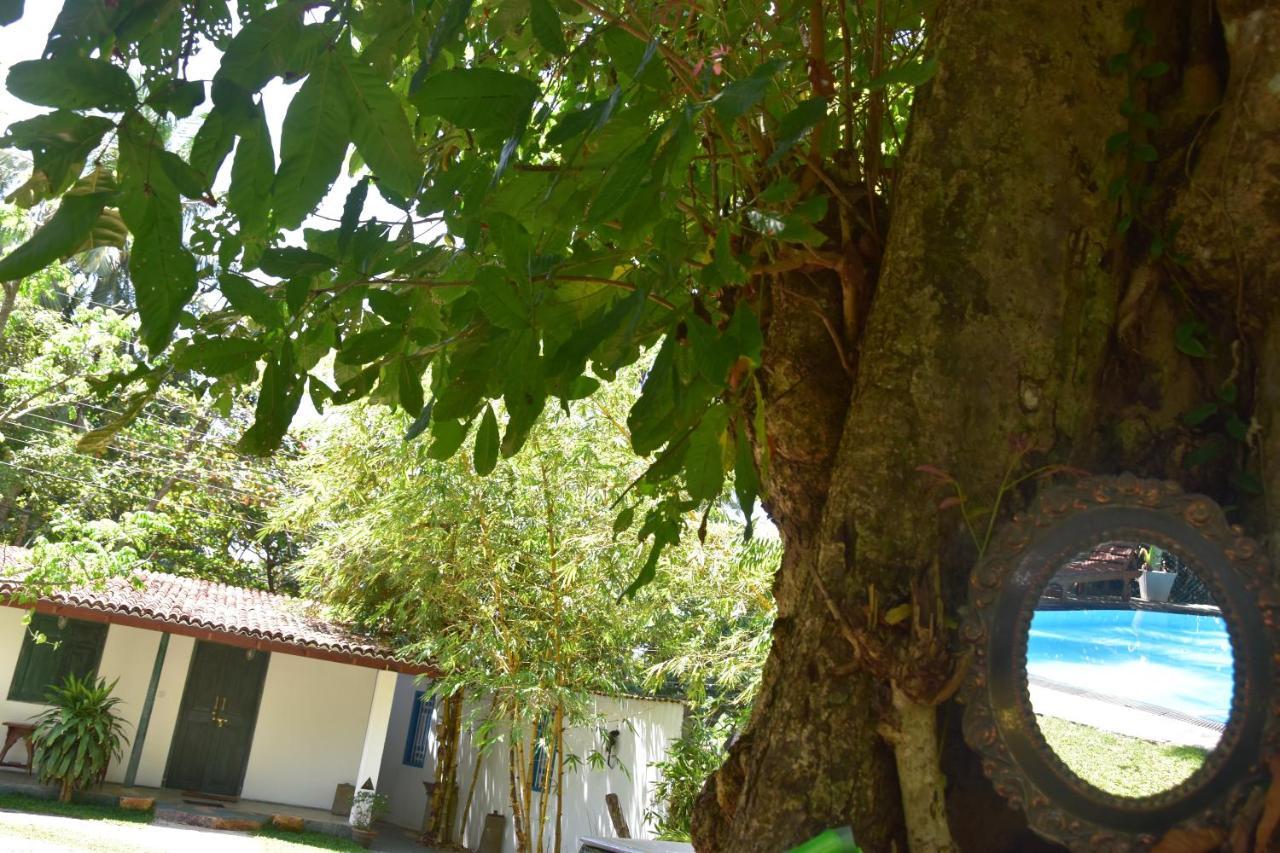 Sethra Villa Bentota Exterior photo